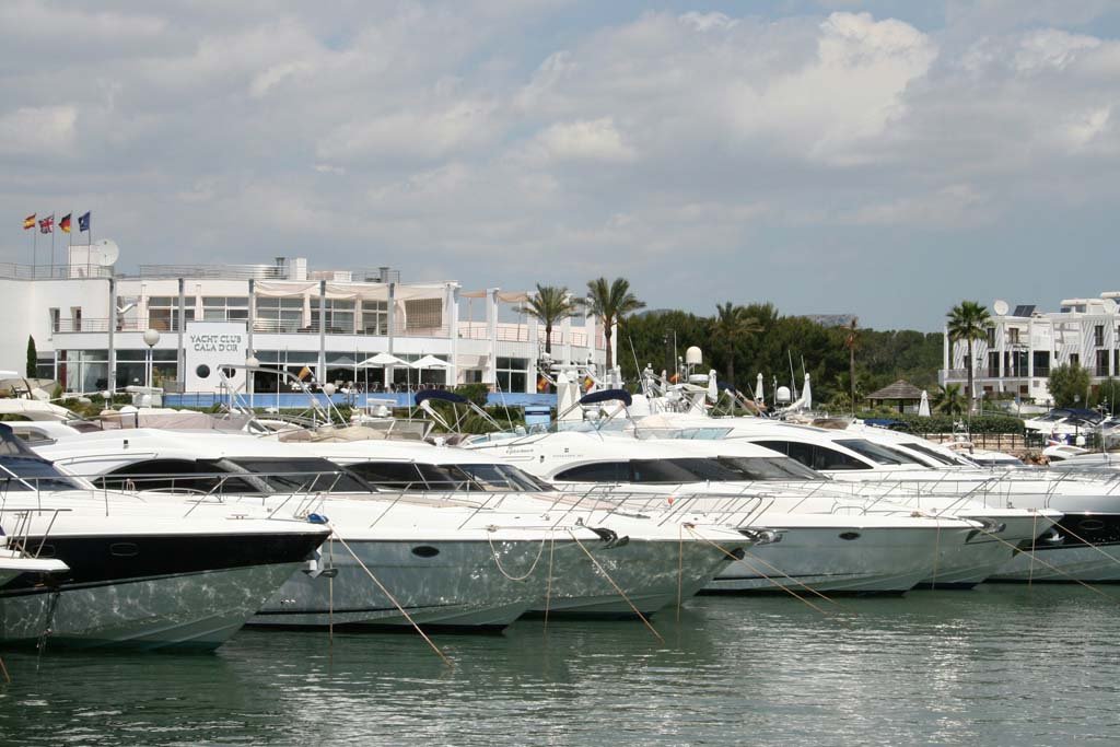 Yachts in a harbor