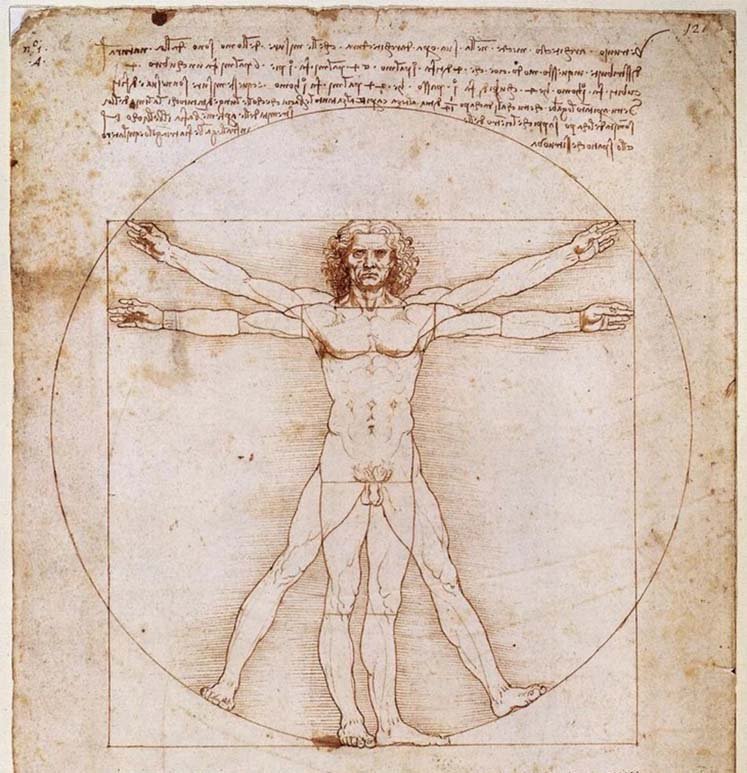 the Vitruvian Man